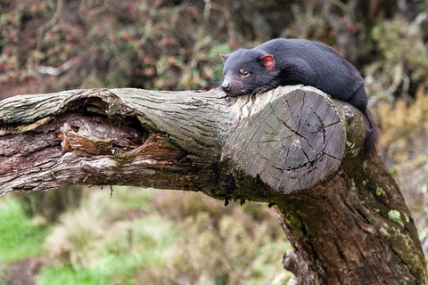 Day Keeper Tour - Hotel Gold Coast 8