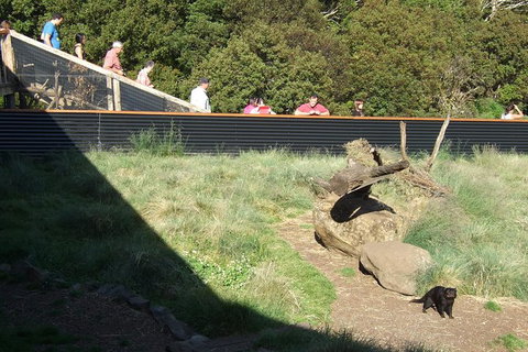 Day Keeper Tour - Hotel Gold Coast 7