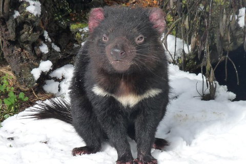 Day Keeper Tour - Hotel Gold Coast 3