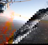 Balloon Flights in Northern Tasmania - Hotel Gold Coast