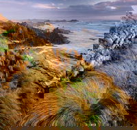 4-Day Tarkine Wilderness Photography Workshop - Hotel Gold Coast