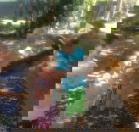 Unguided Family Llama Walk - Hotel Gold Coast