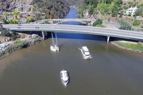 2.50 Hour Afternoon Discovery Cruise Including Cataract Gorge Departing At 3 Pm - Hotel Gold Coast 5