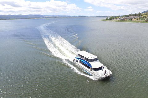 2.50 Hour Afternoon Discovery Cruise Including Cataract Gorge Departing At 3 Pm - Hotel Gold Coast 7