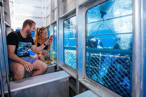 White Shark Tour With Optional Cage Dive From Port Lincoln - Hotel Gold Coast 4