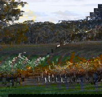 Barossa Valley with Hahndorf Tour from Adelaide - Hotel Gold Coast