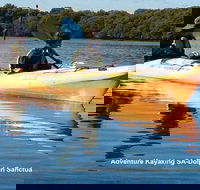Adelaide Dolphin Sanctuary and Ships Graveyard Kayak Tour - Hotel Gold Coast