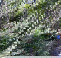 Self-Guided Waterfall Gully to Mount Lofty Hike from Adelaide - Hotel Gold Coast