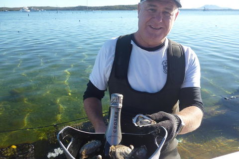 Coffin Bay Oyster Farm & Tasting Tour - Hotel Gold Coast 0