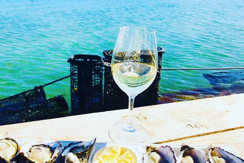 Coffin Bay Oyster Farm & Tasting Tour - Hotel Gold Coast 11
