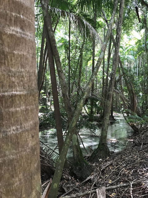 5-Day Fraser Island And Great Barrier Reef Tour - Hotel Gold Coast 4