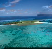 5-Day Fraser Island and Great Barrier Reef Tour - Hotel Gold Coast