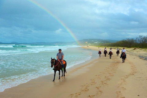 Rainbow Beach Horse Ride - Hotel Gold Coast 0