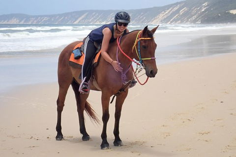 Rainbow Beach Horse Ride - Hotel Gold Coast 2