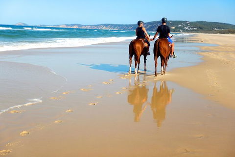 Rainbow Beach Horse Ride - Hotel Gold Coast 3