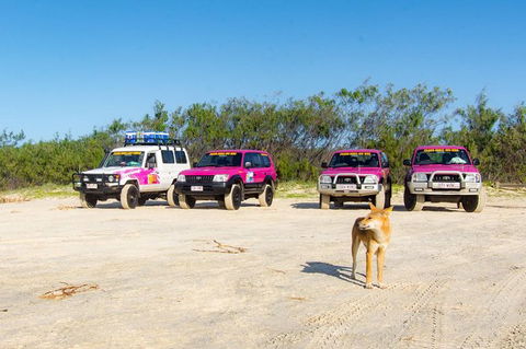3 Day 4wd Tagalong Tour - Fraser Island - Hotel Gold Coast 0