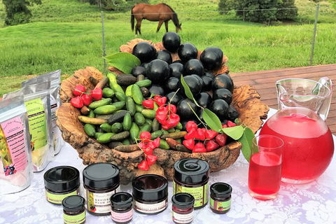 Atherton Tablelands Small-Group Food & Wine Tasting Tour From Port Douglas - Hotel Gold Coast 12