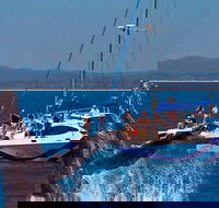 Blue Dolphin Exclusive Whale Watch Encounters - Hotel Gold Coast