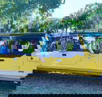 3.5 hour Eco Tour - Hotel Gold Coast