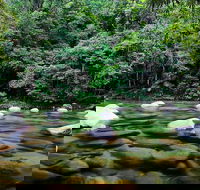 Mossman Silky Oaks to/from Cairns - Hotel Gold Coast