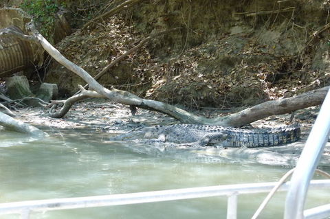 Kakadu Full-Day Tour From Darwin With Lunch - Hotel Gold Coast 2