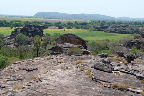 Kakadu Full-Day Tour From Darwin With Lunch - Hotel Gold Coast 3