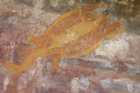 Kakadu Full-Day Tour From Darwin With Lunch - Hotel Gold Coast 4
