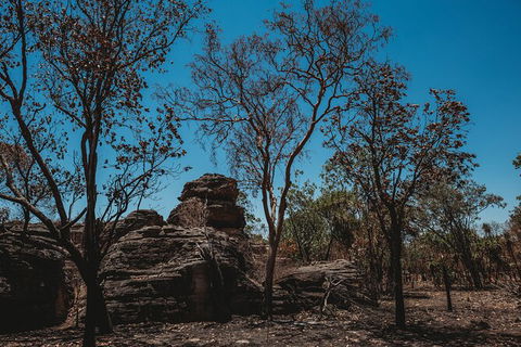 Kakadu Full-Day Tour From Darwin With Lunch - Hotel Gold Coast 6