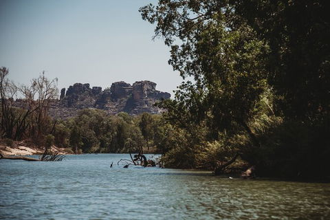 Kakadu Full-Day Tour From Darwin With Lunch - Hotel Gold Coast 8