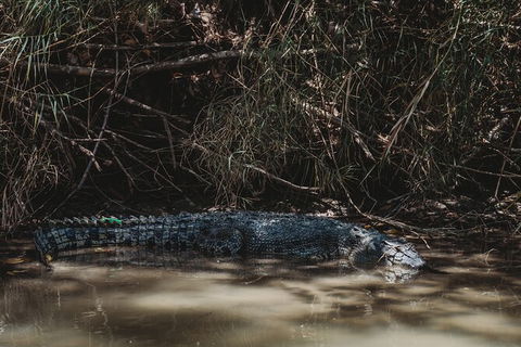 Kakadu Full-Day Tour From Darwin With Lunch - Hotel Gold Coast 13