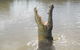 Darwin Jumping Crocodiles Cruise On Adelaide River - thumb 5