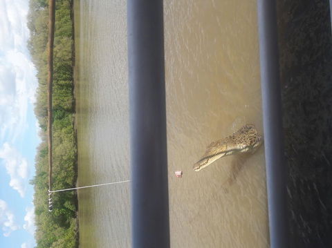 Darwin Jumping Crocodiles Cruise On Adelaide River - Hotel Gold Coast 3
