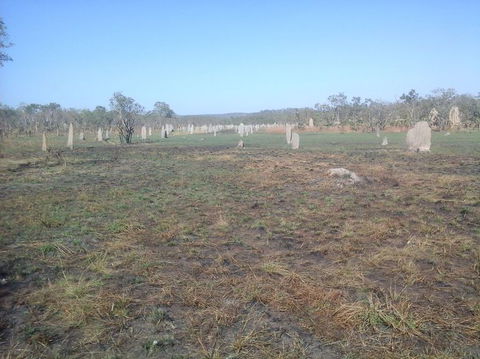 Litchfield National Park Day Tour From Darwin - Hotel Gold Coast 13