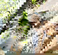 Small-Group Litchfield National Park Day Trip from Darwin - Hotel Gold Coast