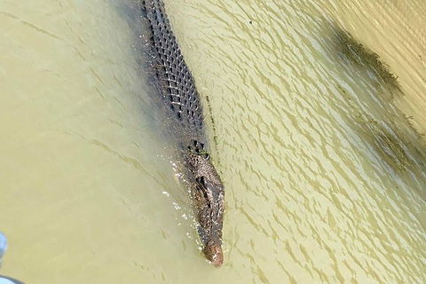 Kakadu National Park Scenic Flight & Cruise - Hotel Gold Coast 11