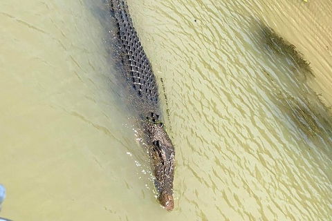 Kakadu & Katherine Gorge Full Day Air Tour, Helicopter & Cruise - Hotel Gold Coast 6
