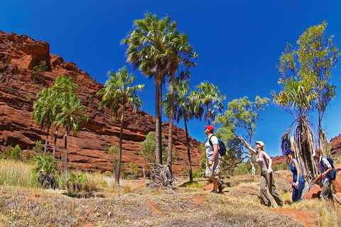 Palm Valley 4WD Tour From Alice Springs - Hotel Gold Coast 0