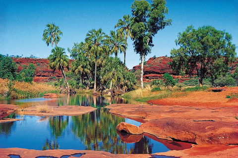 Palm Valley 4WD Tour From Alice Springs - Hotel Gold Coast 5