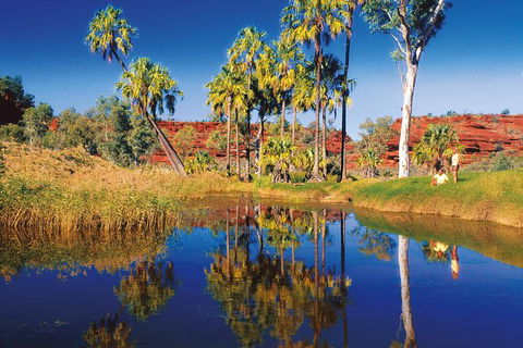 Palm Valley 4WD Tour From Alice Springs - Hotel Gold Coast 3