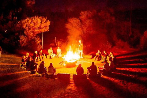 3-Day Red Centre Camping Safari From Alice Springs Or Ayers Rock Including Kings Canyon - Hotel Gold Coast 1