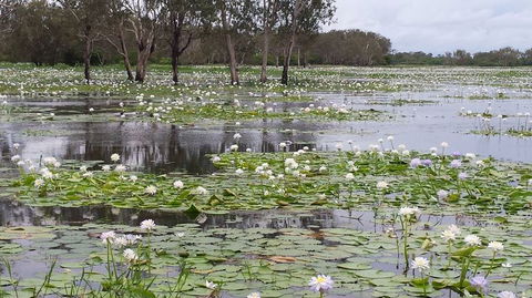 Kakadu, Nourlangie And Yellow Waters Tour From Darwin - Hotel Gold Coast 12
