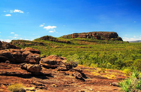 Kakadu, Nourlangie And Yellow Waters Tour From Darwin - Hotel Gold Coast 34