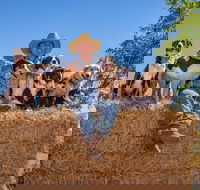 Skip-the-Line Katherine Outback Experience Show Ticket - Hotel Gold Coast