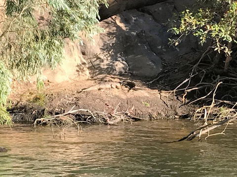 Nitmiluk (Katherine) Gorge 3.5-Hour Sunset Dinner Boat Tour - Hotel Gold Coast 4