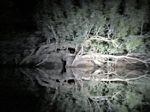 Nitmiluk (Katherine) Gorge 3.5-Hour Sunset Dinner Boat Tour - Hotel Gold Coast 8