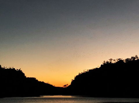 Nitmiluk (Katherine) Gorge 3.5-Hour Sunset Dinner Boat Tour - Hotel Gold Coast 9