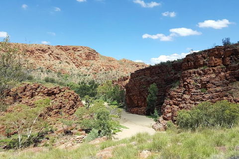 East MacDonnell Ranges 1 Day 4WD Tour - Hotel Gold Coast 0