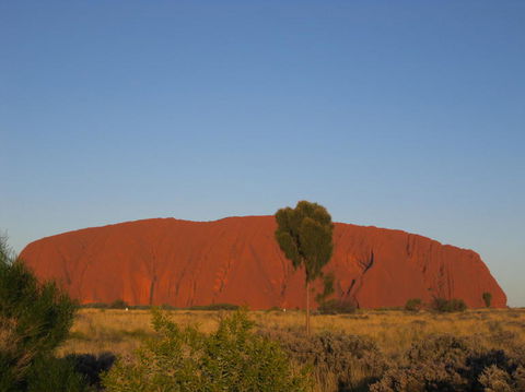 3-Day Uluru And Kings Canyon Camping Experience From Alice Springs Including Outback BBQ Dinner - Hotel Gold Coast 4