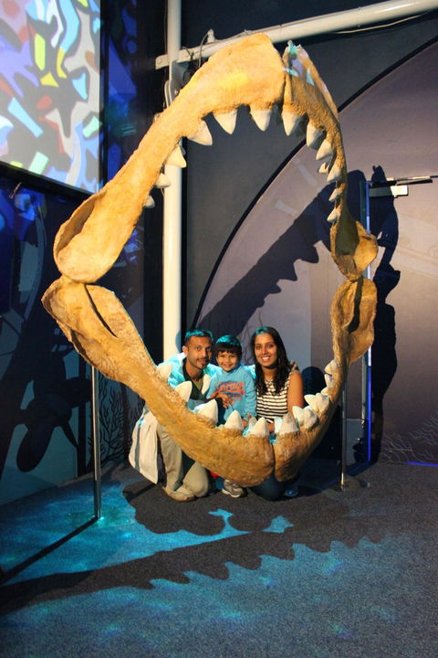 SEA LIFE Sydney Aquarium Entrance Ticket - Hotel Gold Coast 6
