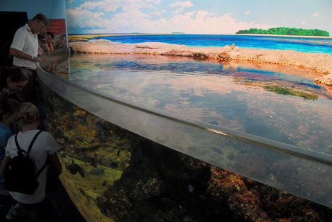 SEA LIFE Sydney Aquarium Entrance Ticket - Hotel Gold Coast 24